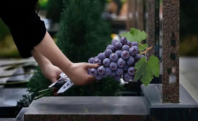 Đi tảo mộ Thanh Minh nhớ kỹ quy tắc "3 quả kh&ocirc;ng mang, 1 vật kh&ocirc;ng c&uacute;ng" kẻo tổ ti&ecirc;n quở tr&aacute;ch, gia đạo bất an- Ảnh 1.