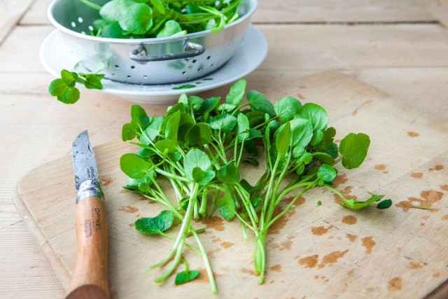 Loại rau tốt nhất thế giới với mật độ dinh dưỡng d&agrave;y đặc: Ở Việt Nam kh&ocirc;ng thiếu- Ảnh 2.