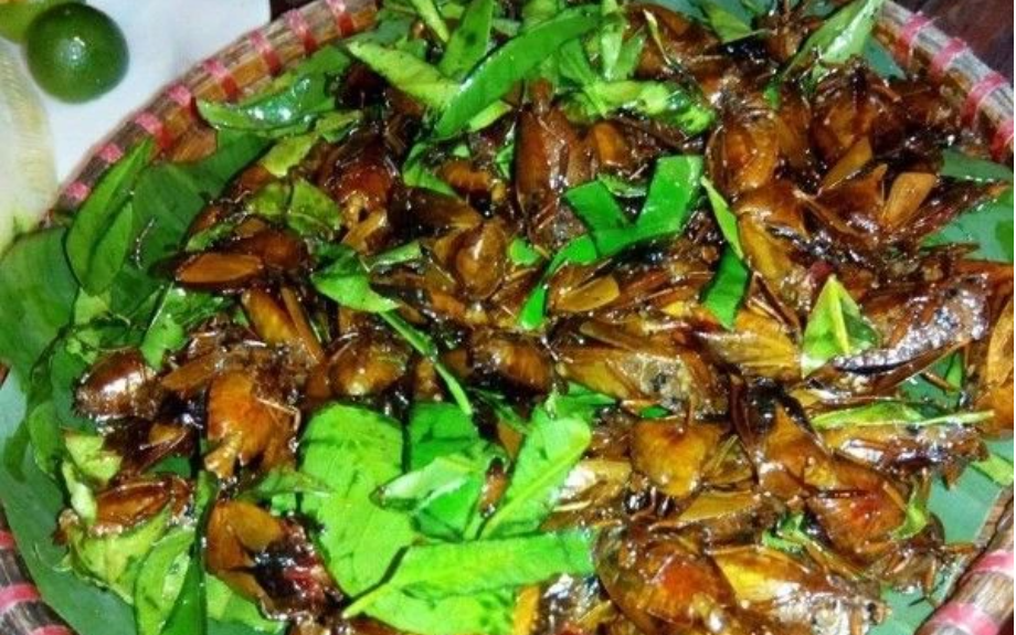 Từng l&agrave; m&oacute;n ăn "nh&agrave; ngh&egrave;o" nay h&oacute;a đặc sản nửa triệu đồng/kg, nh&agrave; gi&agrave;u săn l&ugrave;ng- Ảnh 3.