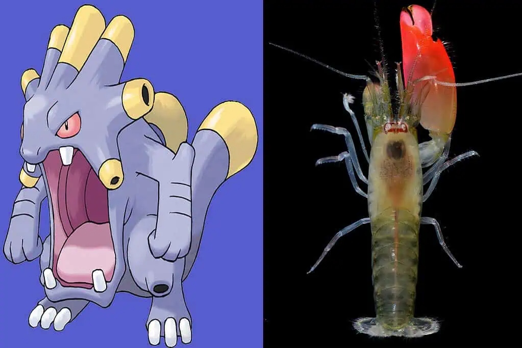 B&iacute; ẩn về 7 lo&agrave;i động vật c&oacute; sức mạnh tương đồng với Pok&eacute;mon huyền thoại- Ảnh 5.