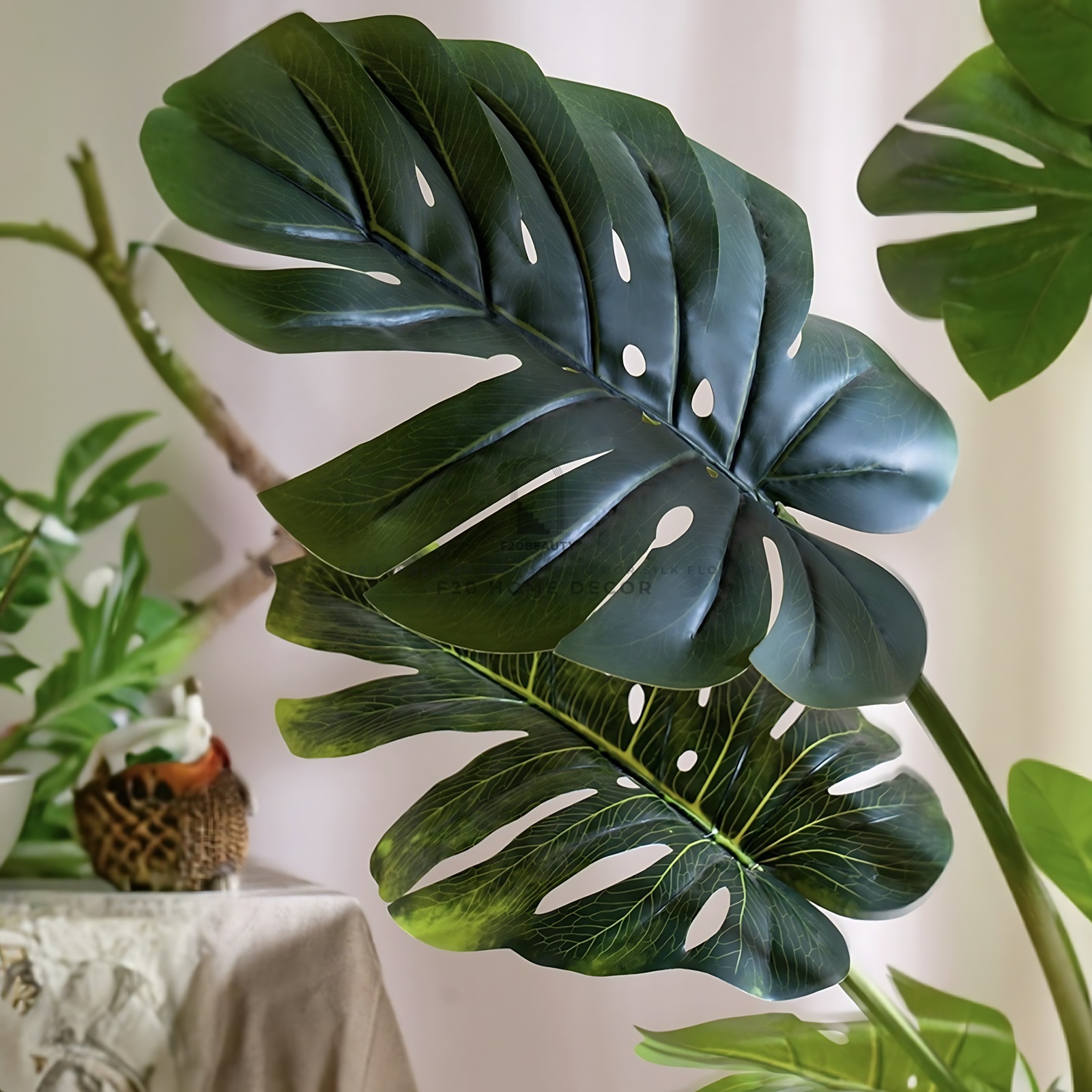 Gia đ&igrave;nh kh&aacute; giả chuộng trồng nhất 4 lo&agrave;i c&acirc;y n&agrave;y: C&agrave;nh khỏe, l&aacute; đẹp, d&aacute;ng sang, nh&igrave;n l&agrave; biết chủ nh&acirc;n c&oacute; gu- Ảnh 3.