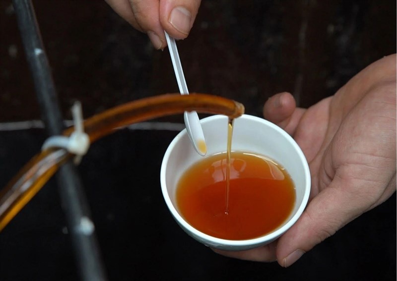 7 h&atilde;ng nước mắm truyền thống ngon nhất Việt Nam: Tinh hoa "quốc hồn quốc t&uacute;y", ăn 1 lần chung thủy 1 đời- Ảnh 1.