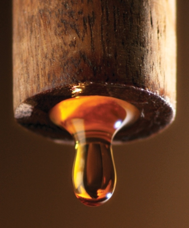 7 h&atilde;ng nước mắm truyền thống ngon nhất Việt Nam: Tinh hoa "quốc hồn quốc t&uacute;y", ăn 1 lần chung thủy 1 đời- Ảnh 2.