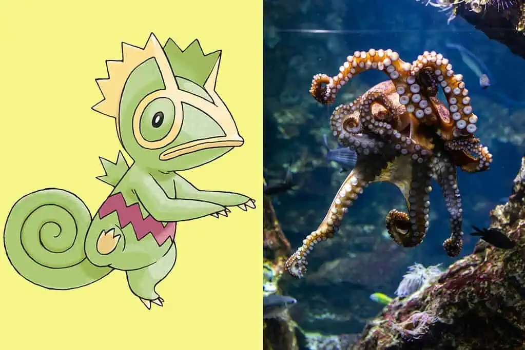 B&iacute; ẩn về 7 lo&agrave;i động vật c&oacute; sức mạnh tương đồng với Pok&eacute;mon huyền thoại- Ảnh 2.