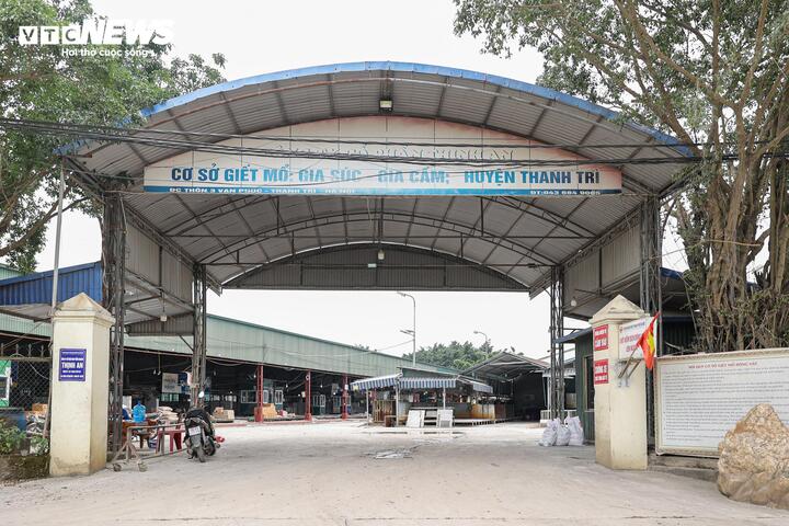 Cận cảnh l&ograve; mổ tuồn gần 300 tấn lợn bệnh v&agrave;o trường học, chợ đầu mối ở H&agrave; Nội- Ảnh 1.