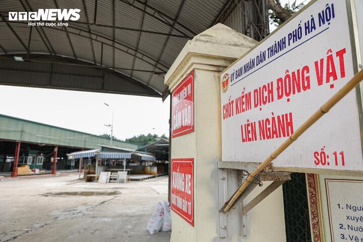 Cận cảnh l&ograve; mổ tuồn gần 300 tấn lợn bệnh v&agrave;o trường học, chợ đầu mối ở H&agrave; Nội- Ảnh 7.