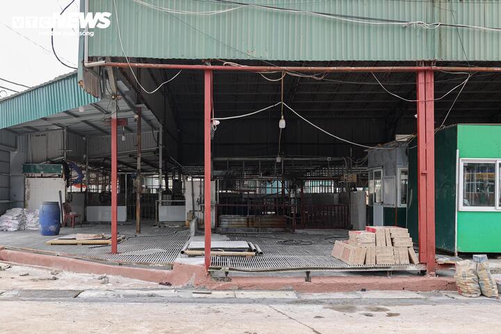 Cận cảnh l&ograve; mổ tuồn gần 300 tấn lợn bệnh v&agrave;o trường học, chợ đầu mối ở H&agrave; Nội- Ảnh 9.