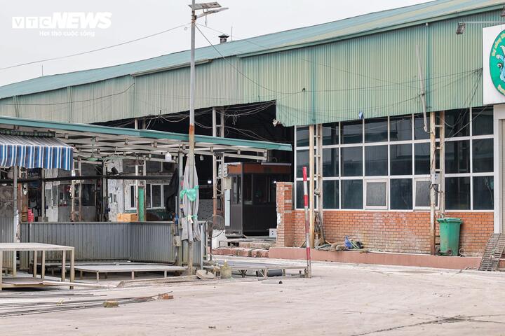 Cận cảnh l&ograve; mổ tuồn gần 300 tấn lợn bệnh v&agrave;o trường học, chợ đầu mối ở H&agrave; Nội- Ảnh 12.