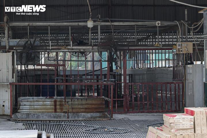 Cận cảnh l&ograve; mổ tuồn gần 300 tấn lợn bệnh v&agrave;o trường học, chợ đầu mối ở H&agrave; Nội- Ảnh 10.