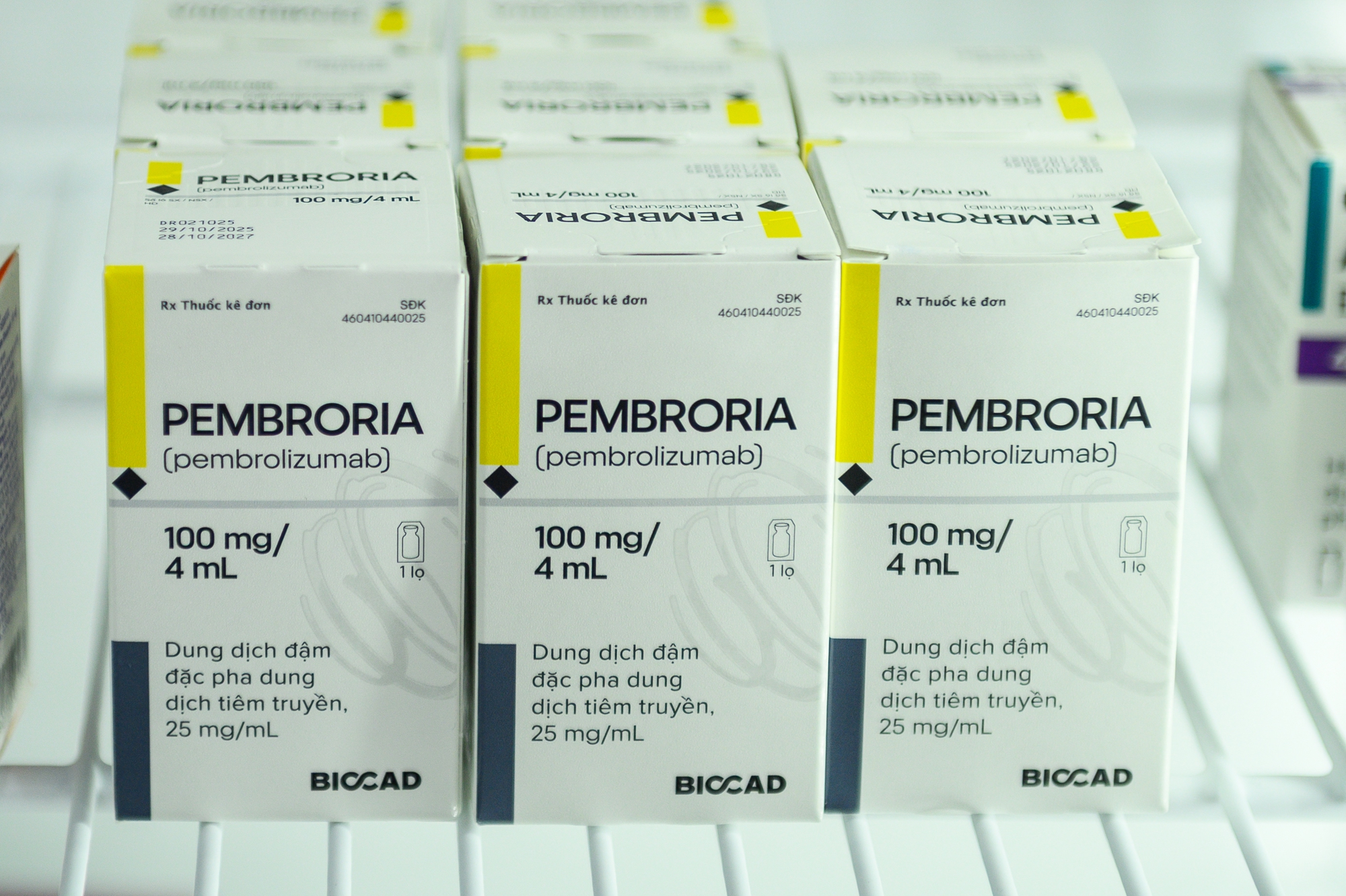 Đỉnh: Cận cảnh quy tr&igrave;nh người Việt được điều trị thuốc miễn dịch ung thư của Nga, gi&aacute; mỗi lọ khoảng 19 triệu- Ảnh 4.