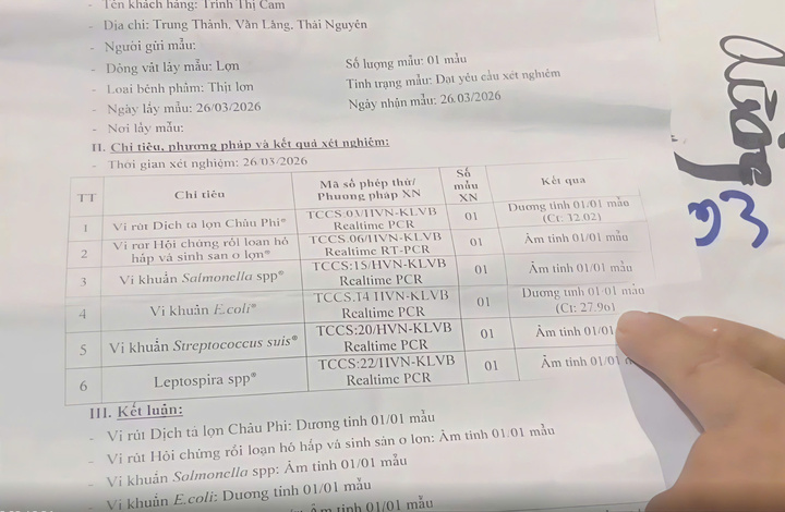 Th&aacute;i Nguy&ecirc;n: L&agrave;m r&otilde; nghi vấn trường mầm non cho trẻ ăn thịt lợn nhiễm dịch tả- Ảnh 3.