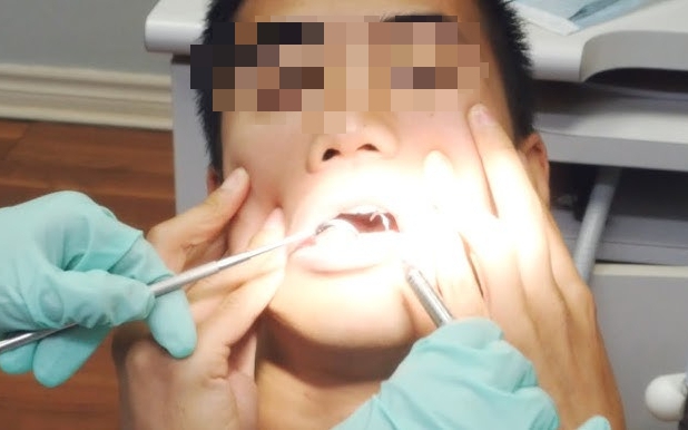 Lời khuy&ecirc;n đến những gia đ&igrave;nh đang trồng c&acirc;y nha đam - Ảnh 2.