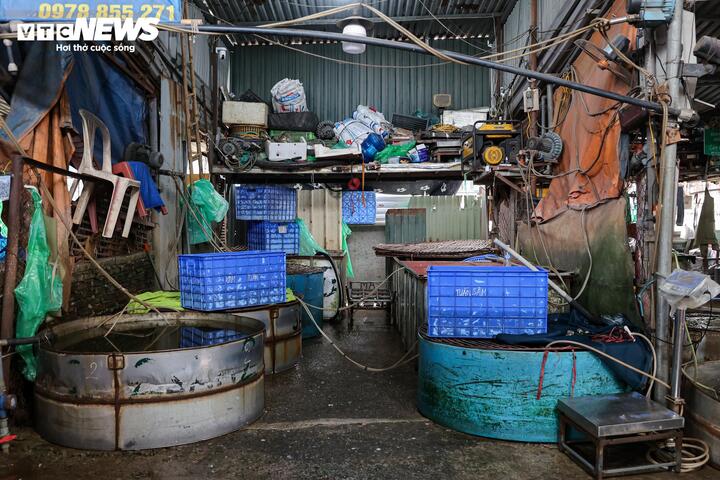 Cảnh &ocirc; nhiễm k&eacute;o d&agrave;i tại chợ c&aacute; lớn nhất H&agrave; Nội trước ng&agrave;y bị giải tỏa- Ảnh 4.