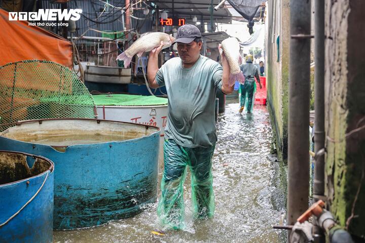 Cảnh &ocirc; nhiễm k&eacute;o d&agrave;i tại chợ c&aacute; lớn nhất H&agrave; Nội trước ng&agrave;y bị giải tỏa- Ảnh 9.