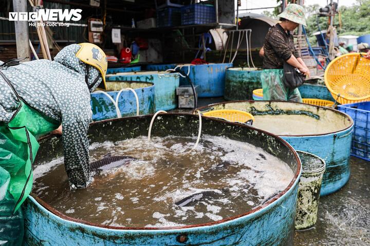 Cảnh &ocirc; nhiễm k&eacute;o d&agrave;i tại chợ c&aacute; lớn nhất H&agrave; Nội trước ng&agrave;y bị giải tỏa- Ảnh 18.