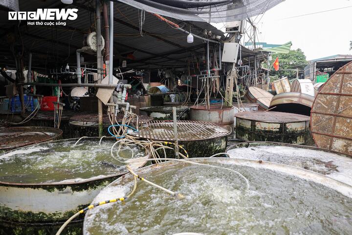 Cảnh &ocirc; nhiễm k&eacute;o d&agrave;i tại chợ c&aacute; lớn nhất H&agrave; Nội trước ng&agrave;y bị giải tỏa- Ảnh 10.