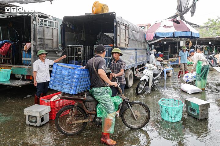 Cảnh &ocirc; nhiễm k&eacute;o d&agrave;i tại chợ c&aacute; lớn nhất H&agrave; Nội trước ng&agrave;y bị giải tỏa- Ảnh 20.