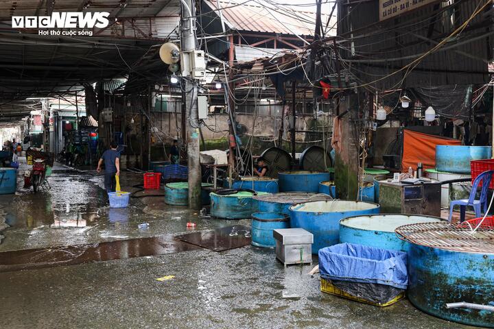 Cảnh &ocirc; nhiễm k&eacute;o d&agrave;i tại chợ c&aacute; lớn nhất H&agrave; Nội trước ng&agrave;y bị giải tỏa- Ảnh 19.