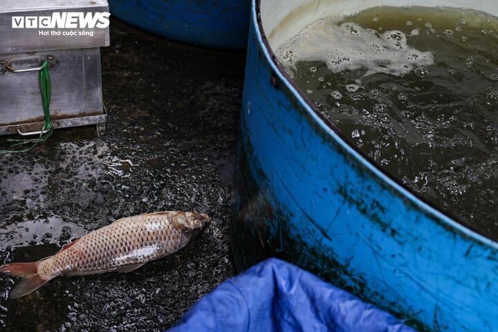 Cảnh &ocirc; nhiễm k&eacute;o d&agrave;i tại chợ c&aacute; lớn nhất H&agrave; Nội trước ng&agrave;y bị giải tỏa- Ảnh 16.