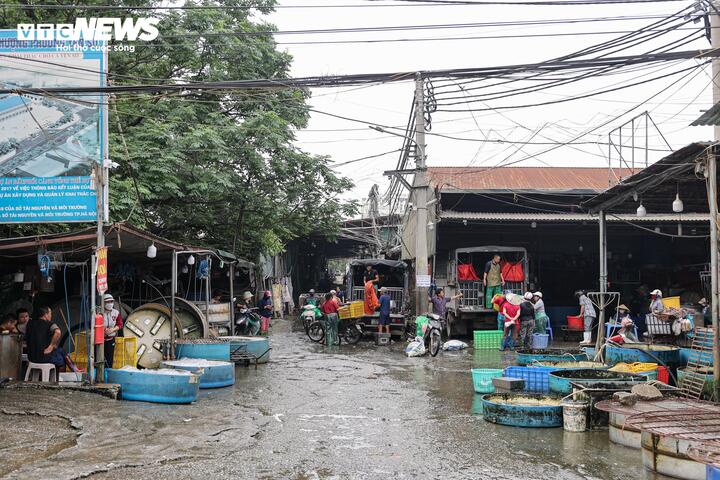 Cảnh &ocirc; nhiễm k&eacute;o d&agrave;i tại chợ c&aacute; lớn nhất H&agrave; Nội trước ng&agrave;y bị giải tỏa- Ảnh 3.