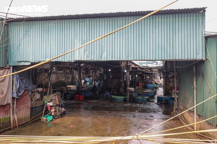 Cảnh &ocirc; nhiễm k&eacute;o d&agrave;i tại chợ c&aacute; lớn nhất H&agrave; Nội trước ng&agrave;y bị giải tỏa- Ảnh 6.