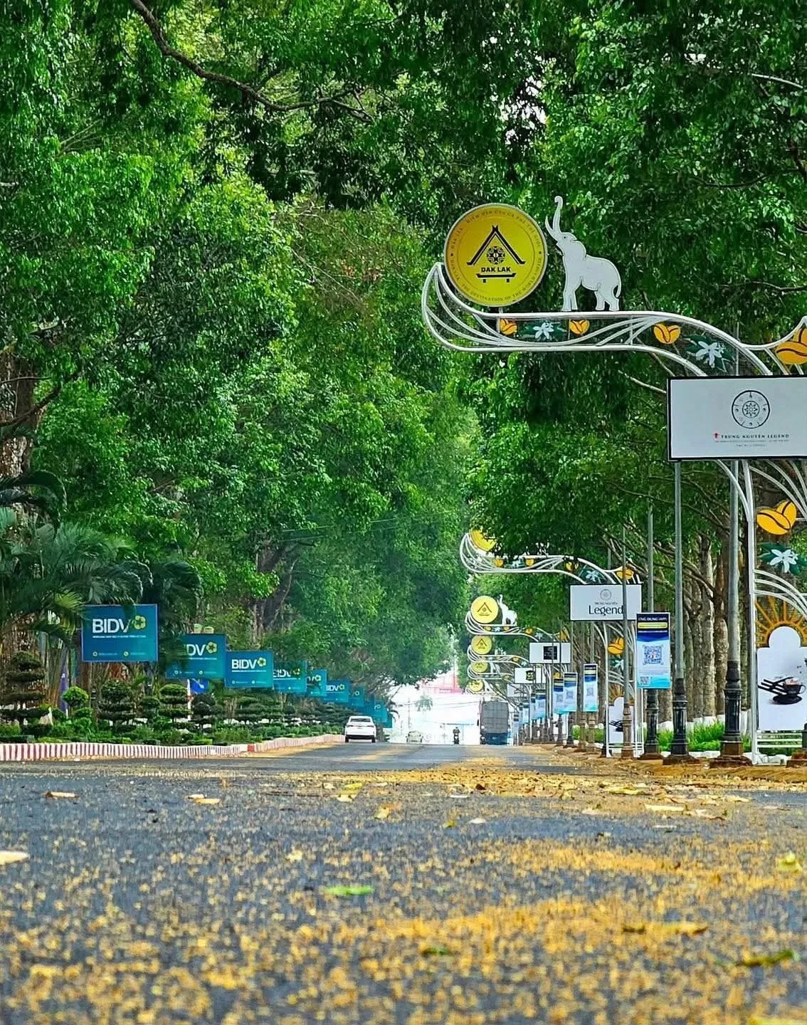 Đập tan định kiến đất đỏ bụi m&ugrave;, đ&ocirc; thị duy nhất T&acirc;y Nguy&ecirc;n thu hơn 13.000 tỷ đồng nhờ đường hầm cổ thụ xuy&ecirc;n l&ograve;ng phố n&uacute;i- Ảnh 2.