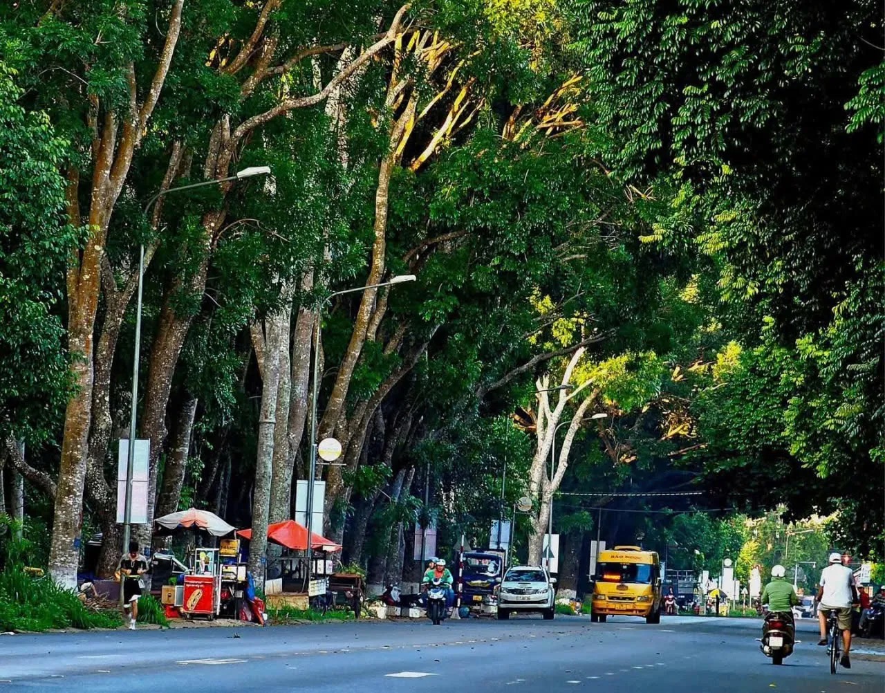 Đập tan định kiến đất đỏ bụi m&ugrave;, đ&ocirc; thị duy nhất T&acirc;y Nguy&ecirc;n thu hơn 13.000 tỷ đồng nhờ đường hầm cổ thụ xuy&ecirc;n l&ograve;ng phố n&uacute;i- Ảnh 1.