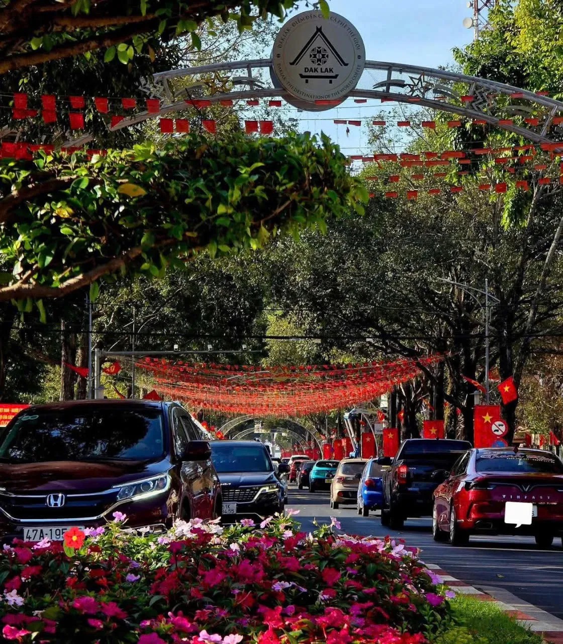 Đập tan định kiến đất đỏ bụi m&ugrave;, đ&ocirc; thị duy nhất T&acirc;y Nguy&ecirc;n thu hơn 13.000 tỷ đồng nhờ đường hầm cổ thụ xuy&ecirc;n l&ograve;ng phố n&uacute;i- Ảnh 4.