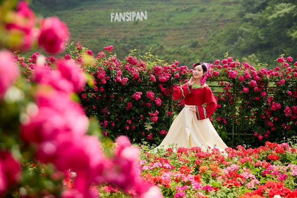 Kh&aacute;m ph&aacute; g&igrave; ở &ldquo;thị trấn đẹp nhất thế giới&rdquo; dịp nghỉ lễ giỗ tổ v&agrave; 30/4 - 1/5? - Ảnh 6.