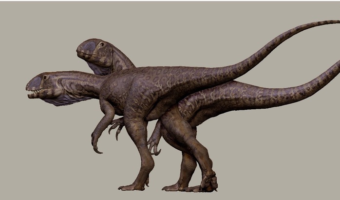 Qu&aacute;i vật 201 triệu tuổi "trỗi dậy" từ mỏ đ&aacute; ở Mỹ- Ảnh 1.