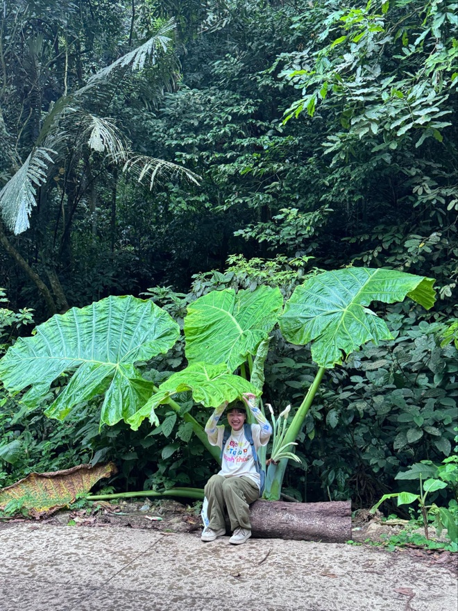 Khuyến c&aacute;o những ai tới Vườn Quốc gia C&uacute;c Phương ngay l&uacute;c n&agrave;y - Ảnh 6.