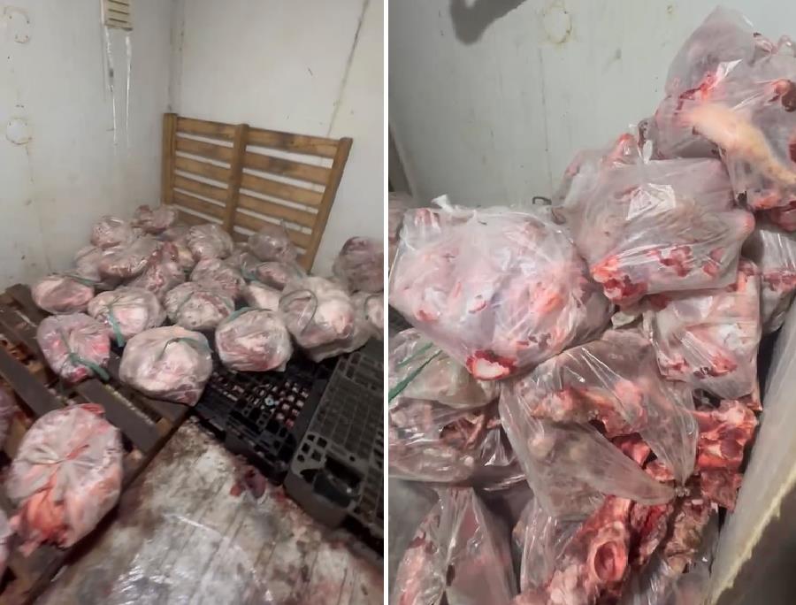 Đột k&iacute;ch l&ograve; mổ lậu ph&aacute;t hiện hơn 500kg thịt heo bốc m&ugrave;i v&agrave; heo bệnh chuẩn bị "l&ecirc;n m&acirc;m"- Ảnh 1.