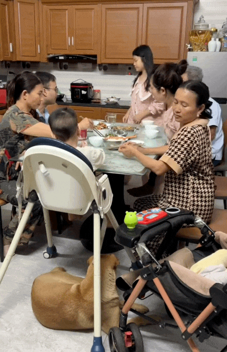 Mẹ đẻ sống chung một nh&agrave; với bố mẹ chồng: B&agrave; ngoại Nghệ An lấy nước mắt của bao người bằng c&aacute;ch n&agrave;y!- Ảnh 6.