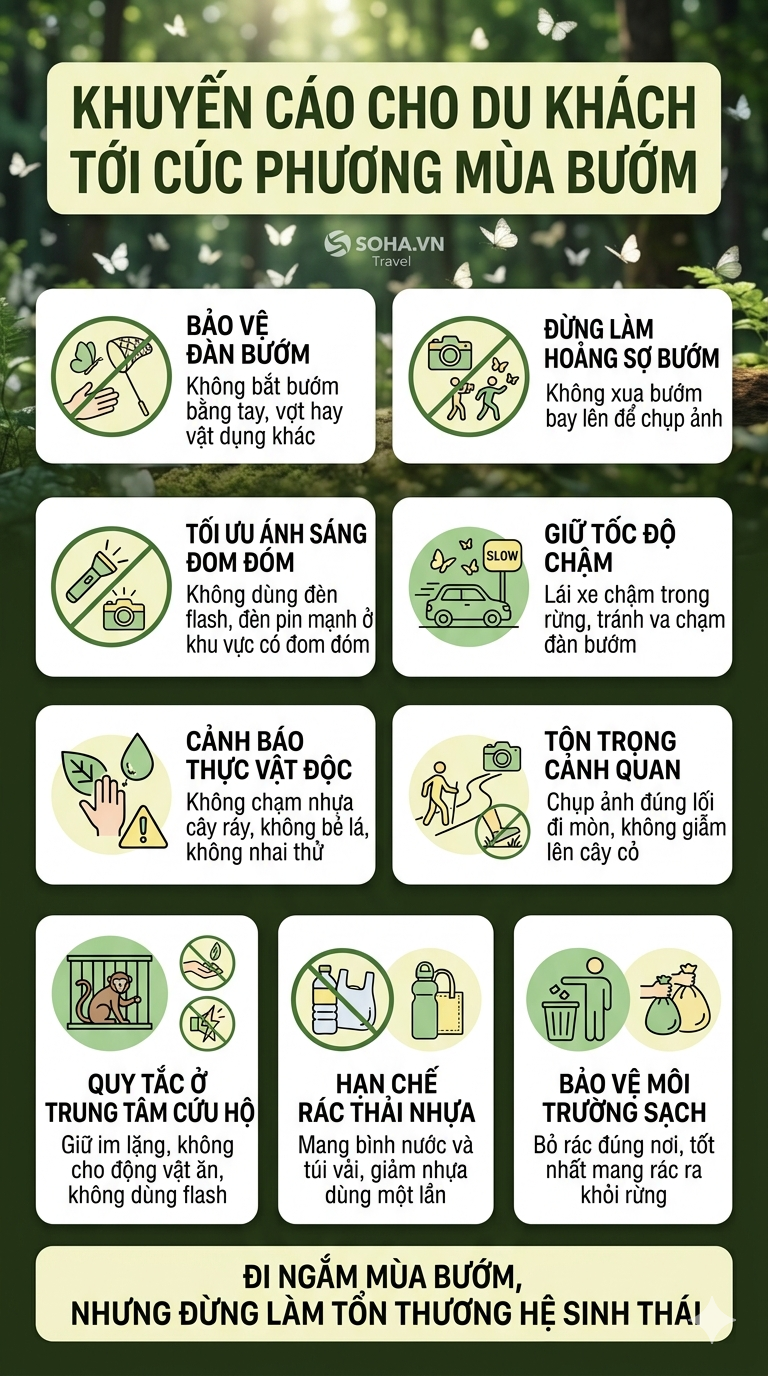 Khuyến c&aacute;o những ai tới Vườn Quốc gia C&uacute;c Phương ngay l&uacute;c n&agrave;y - Ảnh 7.