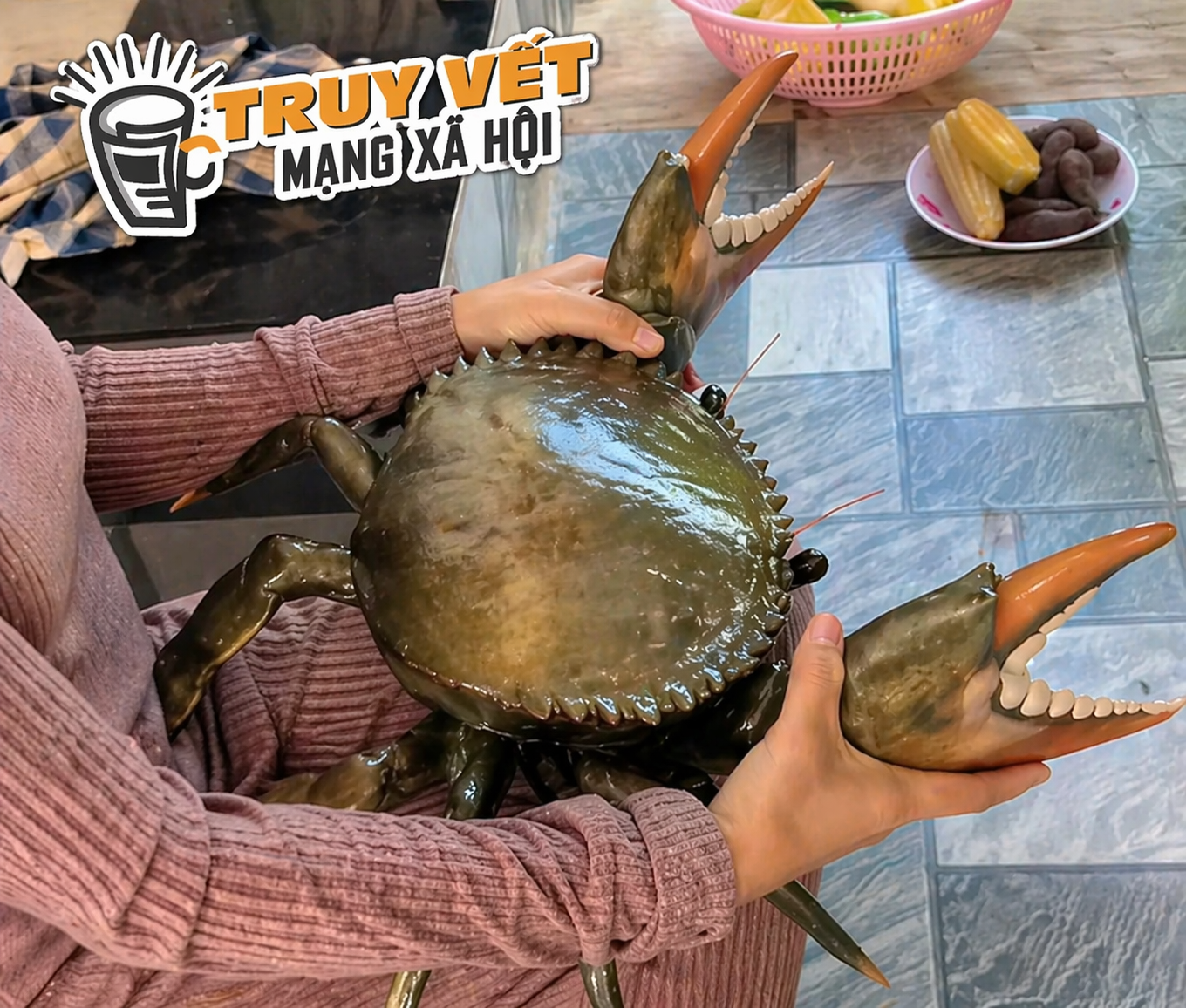 Clip con cua 7 kg ở An Giang nổi tiếng mạng x&atilde; hội với 4,4 triệu lượt xem - Ảnh 2.