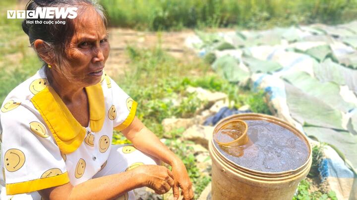 Hơn 30 năm, h&agrave;ng chục hộ d&acirc;n ở L&acirc;m Đồng d&ugrave;ng nguồn nước nhiễm ph&egrave;n đỏ quạch- Ảnh 6.