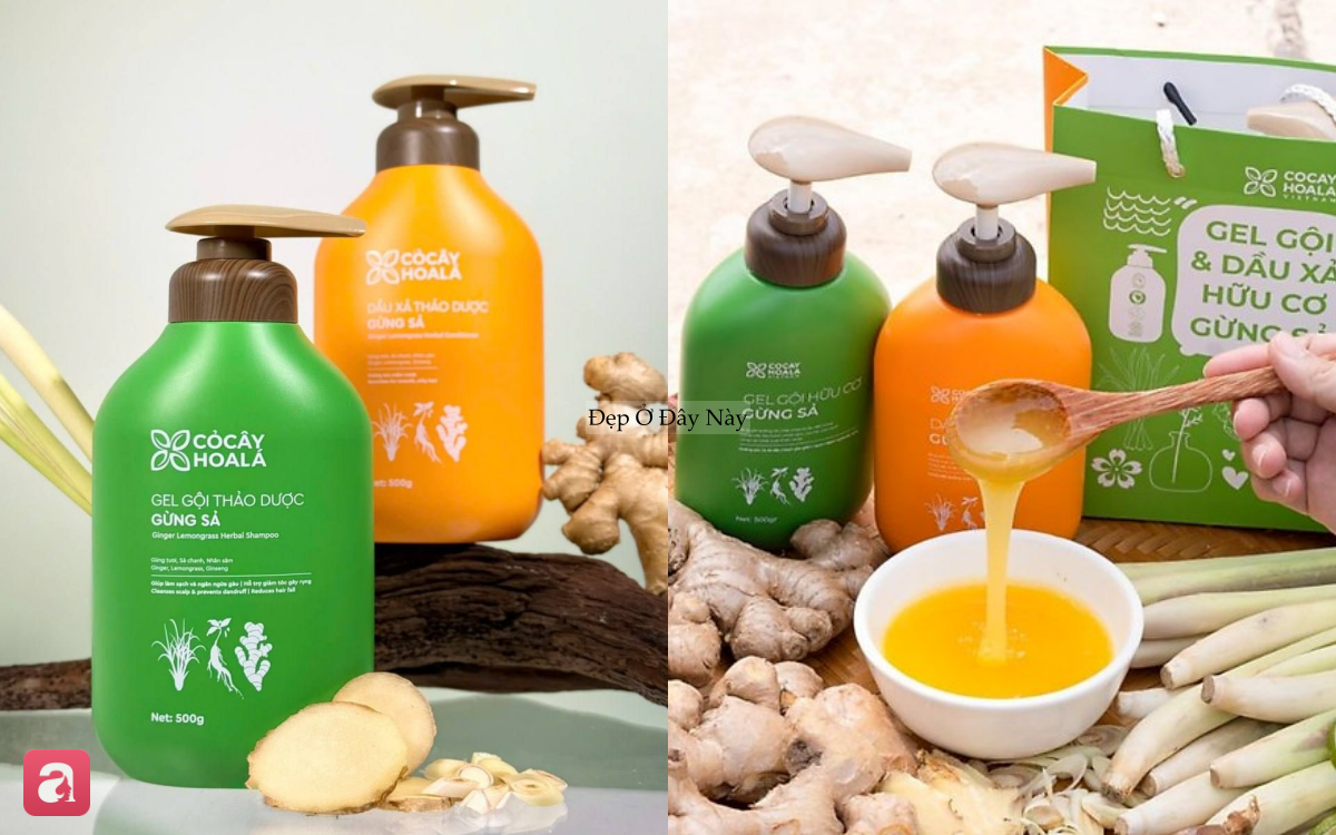 5 bộ gội xả "made in Vietnam" ổn từ chất lượng tới gi&aacute; cả, ai d&ugrave;ng cũng tấm tắc khen- Ảnh 4.