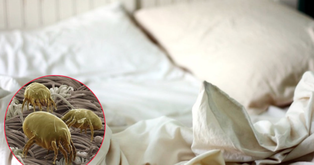 Sự thật ph&iacute;a sau lớp ga giường trắng muốt tại kh&aacute;ch sạn, c&oacute; sạch như ch&uacute;ng ta tưởng?- Ảnh 4.