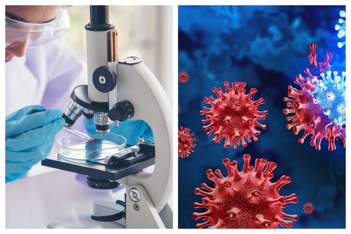 Tổ chức Y tế Thế giới c&ocirc;ng bố tin vui đến Bệnh viện Bệnh Nhiệt đới TPHCM- Ảnh 1.