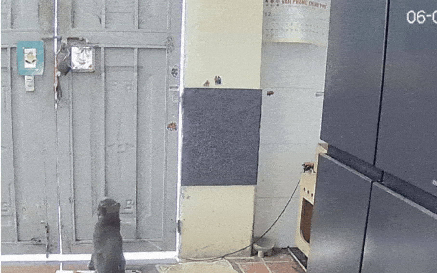 Shipper đến ph&ograve;ng trọ giao h&agrave;ng, chuyện g&igrave; xảy ra khiến chủ tr&iacute;ch xuất camera đăng l&ecirc;n mạng? - Ảnh 1.