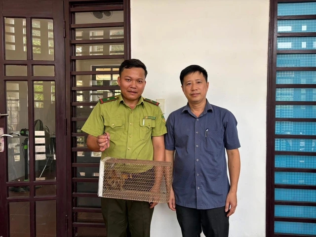 Con vật hay "mắc cỡ" bất ngờ đi lạc v&agrave;o trạm y tế, l&agrave; lo&agrave;i cực kỳ qu&yacute; hiếm- Ảnh 1.