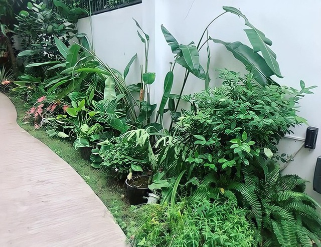 Tiểu thư H&agrave; th&agrave;nh cưới đại gia điện ảnh: Sinh 4 con đẹp như hoa, ở biệt thự triệu đ&ocirc;, sống đời c&ocirc;ng ch&uacute;a đ&iacute;ch thực- Ảnh 5.