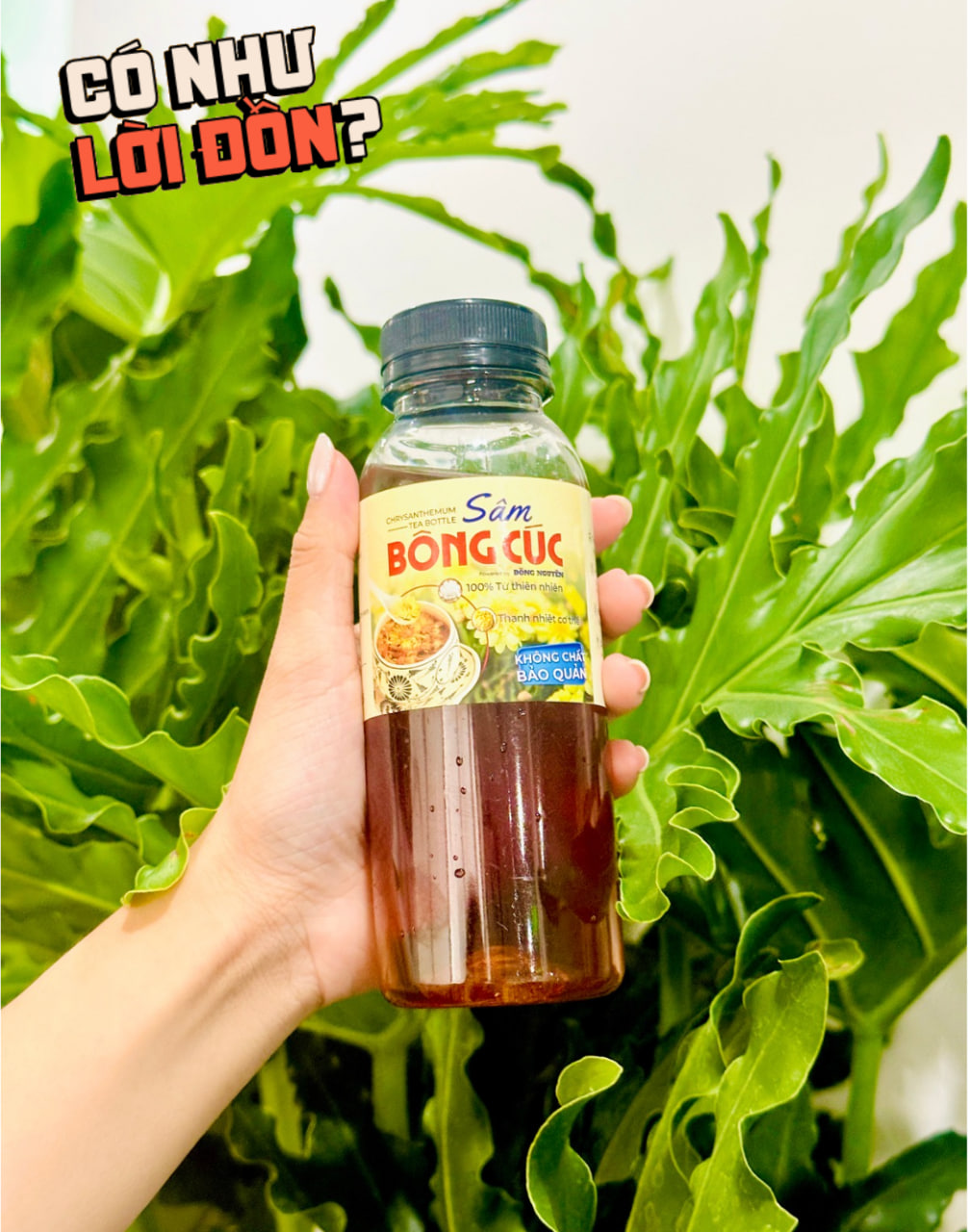 Qu&aacute;n cơm g&agrave; hơn 80 năm tuổi, ngon cỡ n&agrave;o m&agrave; được Jun Phạm t&acirc;m đắc - Ảnh 10.