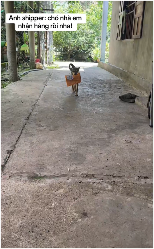 Shipper đến ph&ograve;ng trọ giao h&agrave;ng, chuyện g&igrave; xảy ra khiến chủ tr&iacute;ch xuất camera đăng l&ecirc;n mạng? - Ảnh 5.