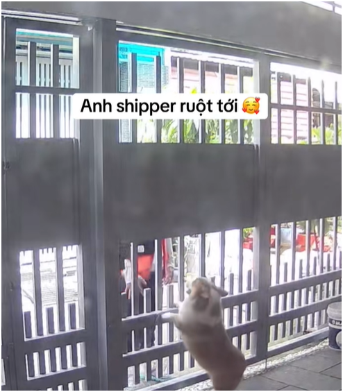 Shipper đến ph&ograve;ng trọ giao h&agrave;ng, chuyện g&igrave; xảy ra khiến chủ tr&iacute;ch xuất camera đăng l&ecirc;n mạng? - Ảnh 2.