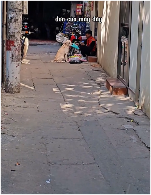 Shipper đến ph&ograve;ng trọ giao h&agrave;ng, chuyện g&igrave; xảy ra khiến chủ tr&iacute;ch xuất camera đăng l&ecirc;n mạng? - Ảnh 6.