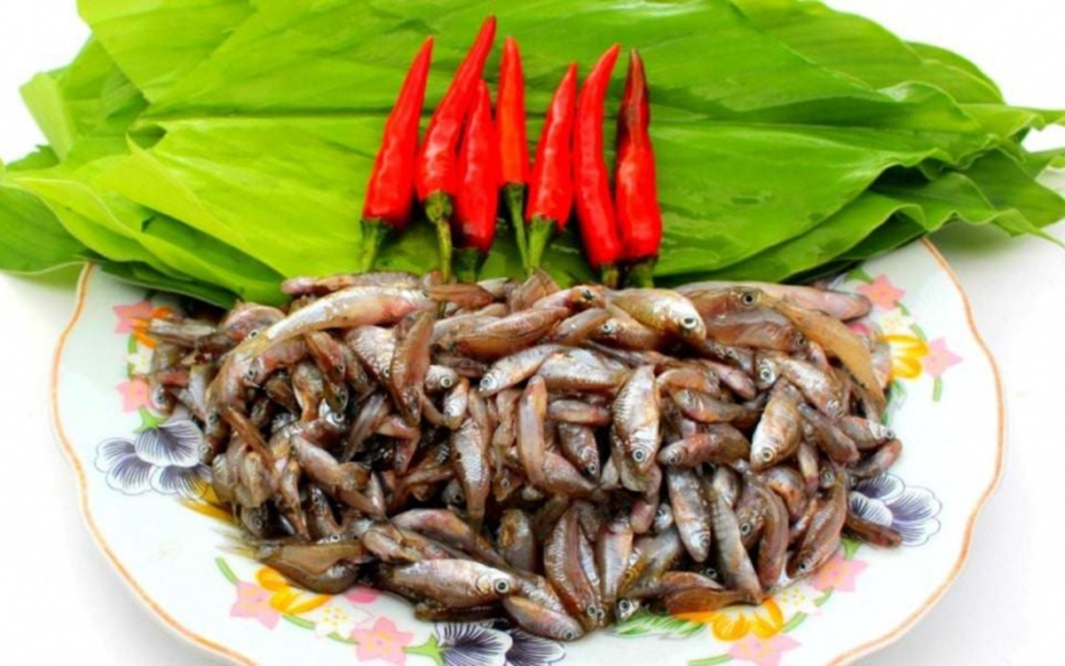 Ăn 1 mớ rau n&agrave;y như "nh&acirc;n s&acirc;m của người ngh&egrave;o", nghe t&ecirc;n thấy lạ nhưng ở qu&ecirc; mọc um t&ugrave;m như cỏ - Ảnh 4.