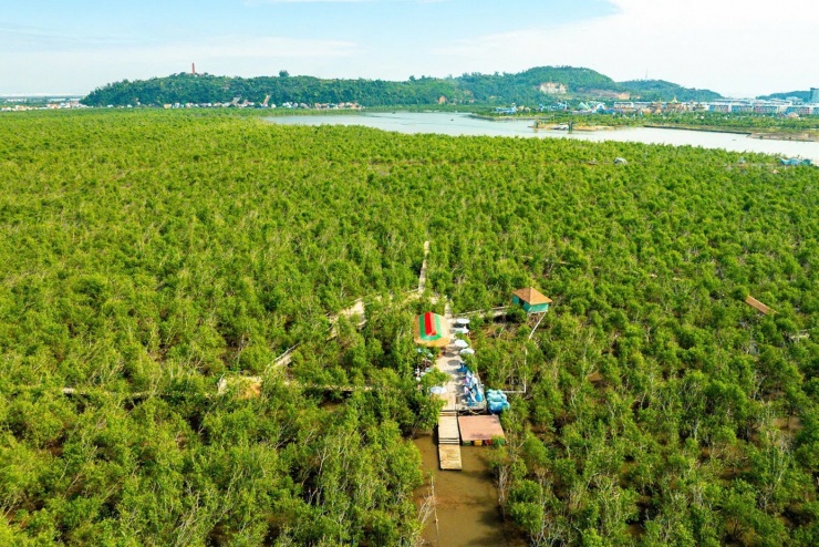 Tin rất vui: Ngay ng&agrave;y mai 25/4, to&agrave;n bộ người d&acirc;n Việt Nam được miễn ph&iacute; 1 dịch vụ - Ảnh 4.