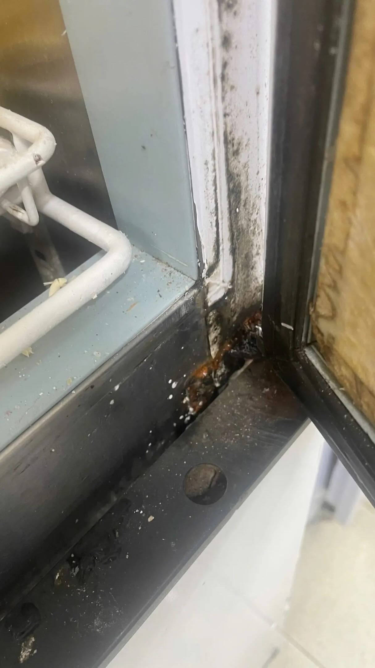 X&ocirc;n xao h&igrave;nh ảnh nghi vấn bếp bẩn tại tiệm b&aacute;nh nổi tiếng H&agrave; Nội, đại diện qu&aacute;n ch&iacute;nh thức l&ecirc;n tiếng - Ảnh 5.