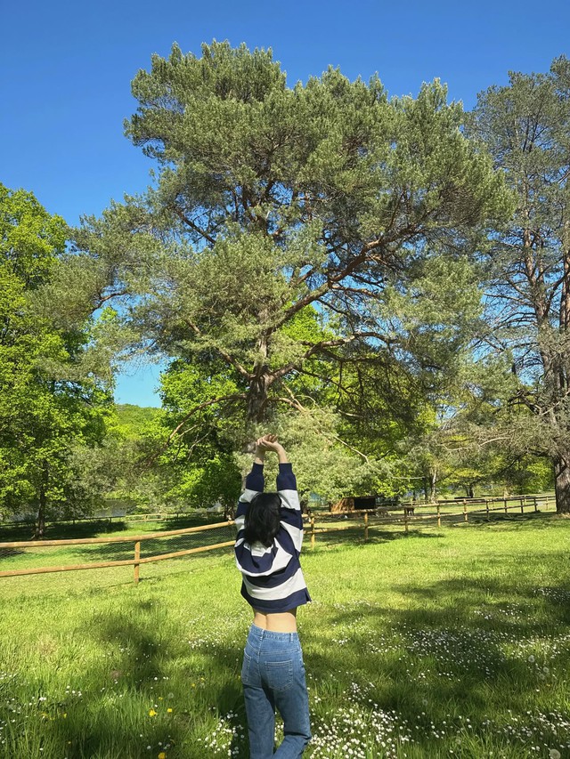 Song Hye Kyo c&ocirc;ng khai v&ograve;ng eo tuổi 45- Ảnh 2.